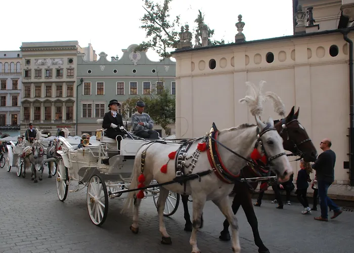 Kazimierz Ii Cracovia